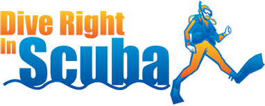 Dive Right in Scuba